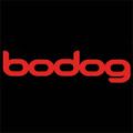 Bodog, Log