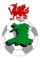 Wales Premier League